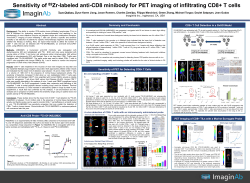 Sensitivity of 89Zr-labeled anti-CD8 minibody for PET