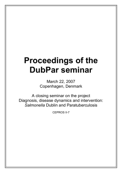 Proceedings of the DubPar seminar