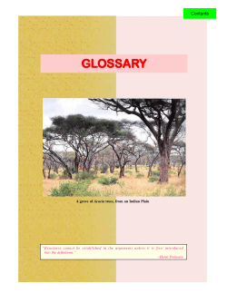 GLOSSARY