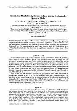 Naphthalene Metabolism by Diatoms Isolated from