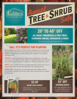 fall: it`s perfect for planting