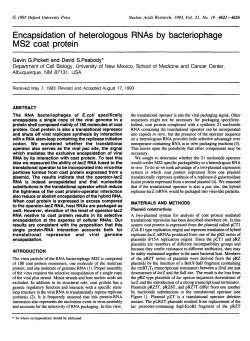 Encapsidation of heterologous RNAs by bacteriophage MS2 coat