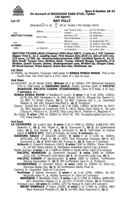 bay filly - Henry Dwyer Racing