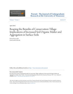 Reaping the Benefits of Conservation Tillage