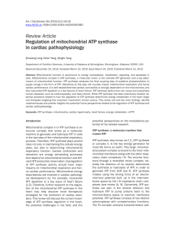 Review Article Regulation of mitochondrial ATP synthase in cardiac