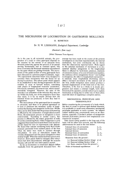 THE MECHANISM OF LOCOMOTION IN GASTROPOD MOLLUSCS
