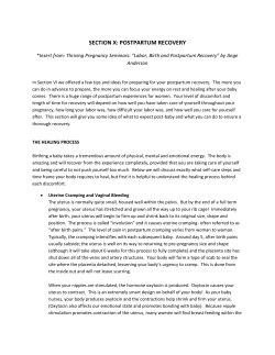 1a POSTPARTUM HEALING PROCESS PRE