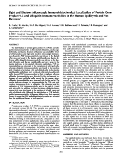 Light and Electron Microscopic Immunohistochemical Localization of