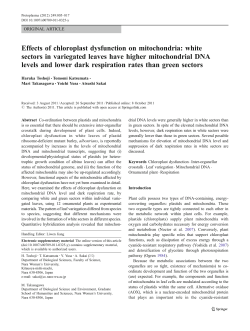 Effects of chloroplast dysfunction on