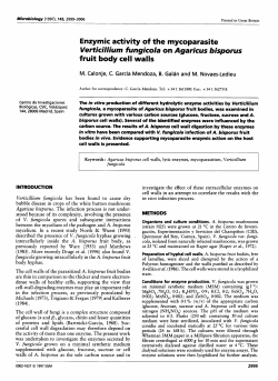 Enzymic activity of the mycoparasite Verticillium