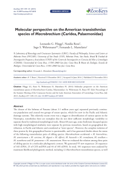 Molecular perspective on the American transisthmian