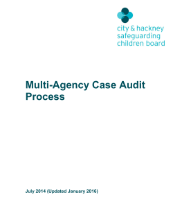 Multi-Agency Case Audit Process
