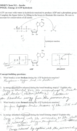 hydrolysis reaction