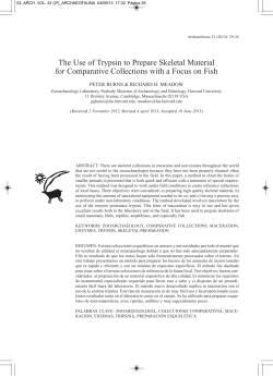 The Use of Trypsin to Prepare Skeletal Material for Comparative