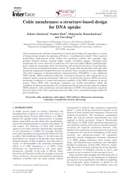 Cubic membranes: a structure-based design for DNA uptake