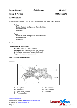 Easter School Life Sciences Grade 11 Fungi