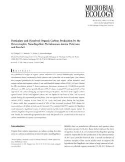 Particulate and Dissolved Organic Carbon Production by the