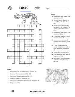 Fossil Crossword Puzzle