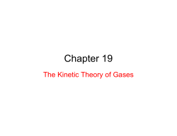Chapter 19 - HCC Learning Web
