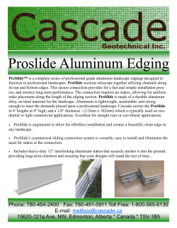 Proslide Aluminum Edging