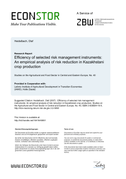 Efficiency of selected risk management instruments