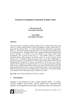 Syntactic investigation of nunation in Haili Arabic