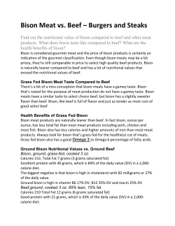 Bison Meat vs. Beef &ndash; Burgers and Steaks