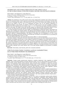 distribution and characterization of the goblet cells in the ostrich