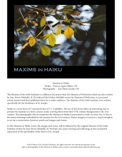 Maxims in Haiku Haiku &ndash; Frances Agnes Blake, CSJ Photography