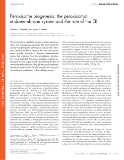 the peroxisomal endomembrane system and the role of the ER