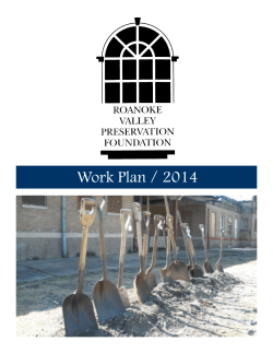 2014 RVPF Work Plan - Roanoke Valley Preservation Foundation
