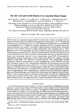 The Life Cycle and Growth Kinetics of an Anaerobic