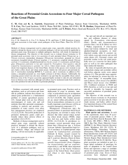 Reactions of Perennial Grain Accessions to Four Major Cereal