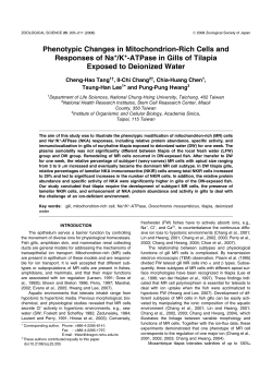 Phenotypic Changes in Mitochondrion