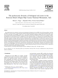 The prokaryotic diversity of biological soil crusts in the Sonoran Desert