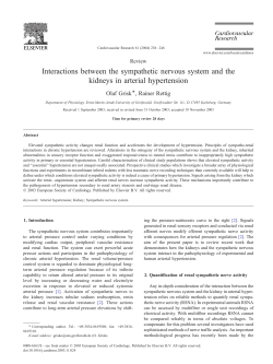 Interactions between the sympathetic nervous system and the