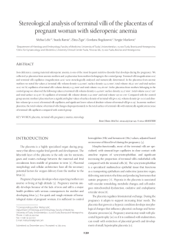 Stereological analysis of terminal villi of the