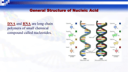 DNA