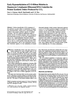 Early Hypomethylation of 2"O-Ribose Moieties in