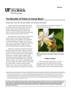 Benefits of Pollen to Honey Bees