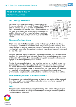Fact sheet - MUSCULOSKELETAL - Knee cartilage injury FINAL