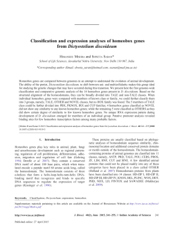Classification and expression analyses of homeobox genes from