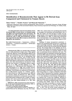 Identification of Brassinosteroids That Appear to Be Derived from