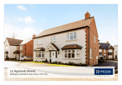 22 Squirrels Street,