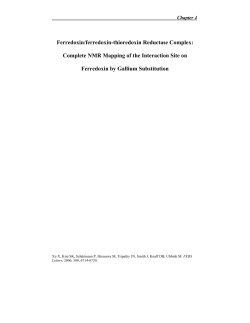 Ferredoxin/ferredoxin-thioredoxin Reductase Complex: Complete