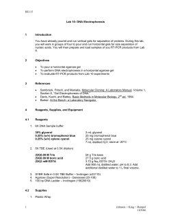 Lab 10: DNA Electrophoresis