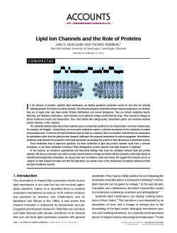 Lipid Ion Channels and the Role of Proteins