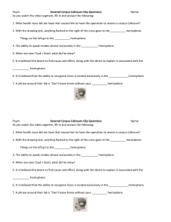 Psych Severed Corpus Callosum Clip Questions Name: As you