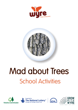 Mad about trees