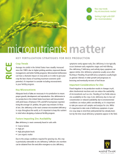 Rice Micronutrient Guide